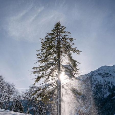 Silber Lodge Im Wiesenstein Auffach Εξωτερικό φωτογραφία