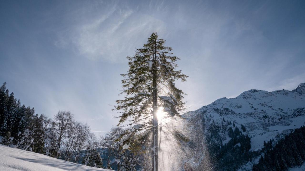 Silber Lodge Im Wiesenstein Auffach Εξωτερικό φωτογραφία